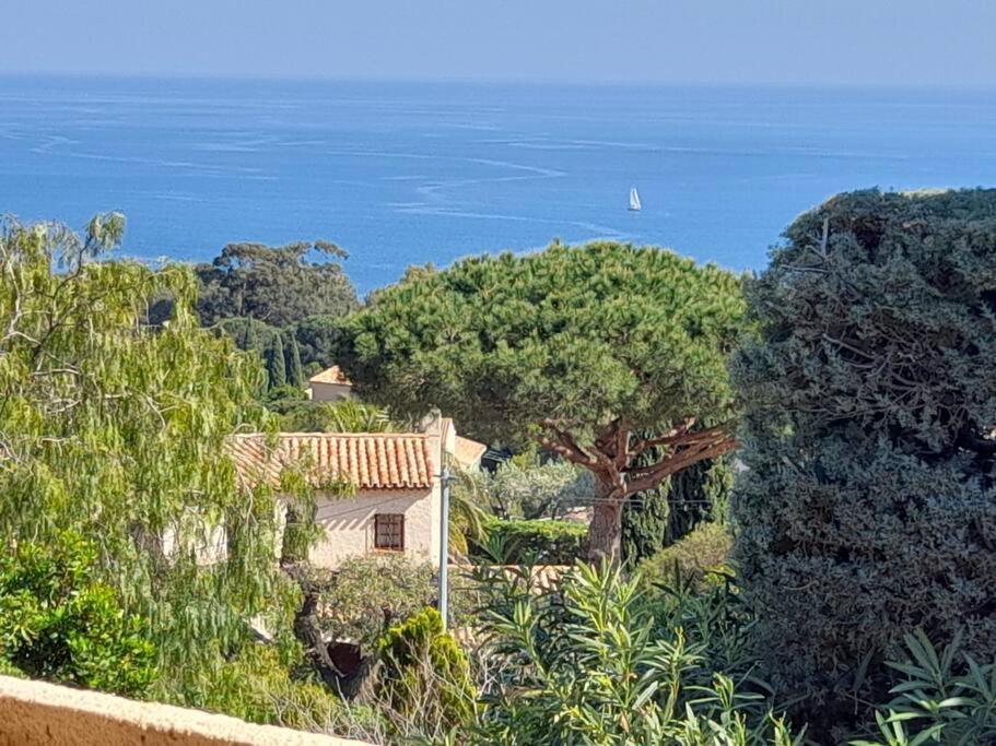 4-Star Private Villa With Heated Pool And Panoramic Sea View At Gulf De Saint Tropez Кавалере-сюр-Мер Екстериор снимка